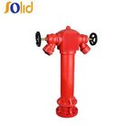 Pillar Fire Hydrant, 2 Ways Fire Hydrant, Wet Type Fire Hydrant