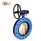 API 598 Rubber coated U Section Double Flanged Butterfly Valve