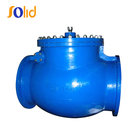 GG25 DN700 Metal Seated Swing Check Valve