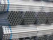 Seamless Steel Pipes/Tubes/Tubing
