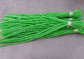 5Metre Green Flexible Safety Line Coiled Lanyard without Hook supplier