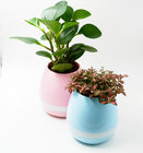 Factory Wholesale Plastic/Ceramic colored flower pot Pink/Blue color