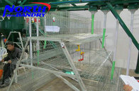 chicken layer automatic feeding cage/chicken layer house cage