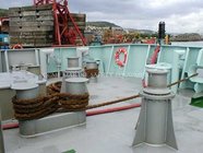 5 ton electric offshore marine capstan