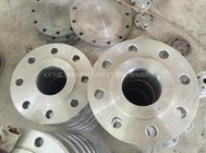 Forged Weld/Welding Neck Pipe Carbon Steel Flanges