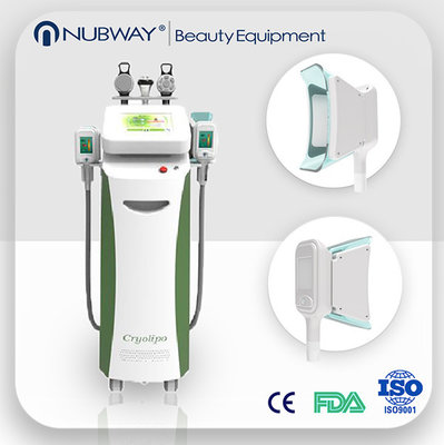 China Professional salon use lipo cryo machine freeze cryolipolysis machine supplier