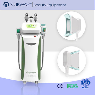 China Hot Sale slim freezer weight loss lipo laser cavitation machine cryolipolysis for home use supplier