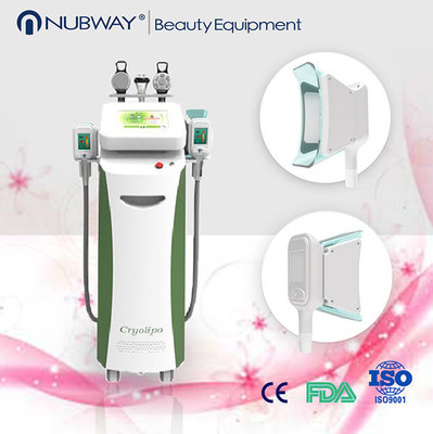 China 2015 hot new technology cryo freezing fat slimming machine/cryotherapy fat freeze slimming supplier