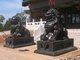 One pair of lions statues indoor decoration bronze lion sculpture supplier
