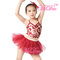 Fancy Kids Dance Costumes Floral Sequin Dress Matching Tulle Tutu Skirt supplier