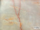 EVA Decorative glass insertion(marble paper)