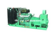 LICARDO Diesel Generator Set 30GF