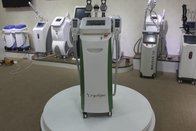 Fastest slimming!!! Bottom price non-surgical cryolipolysis body fat reduction machine