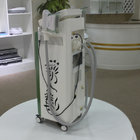 Vacuum 10.4 Inch Cryolipolysis Fat Freeze Body Slimming Machine AC 220V For Beautician