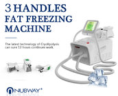 Portable CE FDA approved antifreeze slimming cryo cryolipolysis fat freezing machine for salon spa