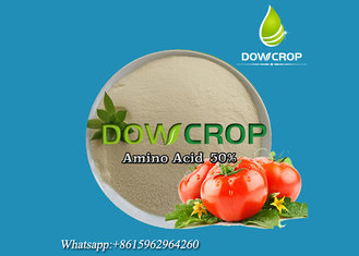 China Amino Acid Powder 50% - PLANT SOURCE supplier