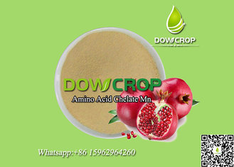 China Amino Acid Chelated Mn Powder supplier