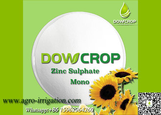 China DOWCROP HIGH QUALITY 100% WATER SOLUBLE MONO SULPHATE ZINC 33.5% WHITE POWDER MICRO NUTRIENTS FERTILIZER supplier