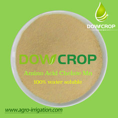 China DOWCROP HOT SALE HIGH QUALITY Mn Amino Acid Chelated Powder 100% water soluble fertilizer  faint yellow powder supplier