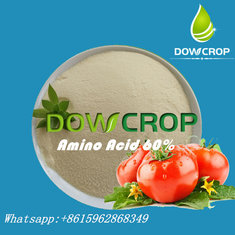 China DOWCROP  Amino Acid Powder 60% Hot Sale 100% Completely water soluble fertilizer Organic Fretilizer  High Quality supplier