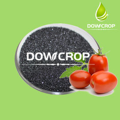 China DOWCROP      HOT      SALE      ≥98%     WATER     SOLUBLE    POTASSIUM     HUMATE     BLACK     FLAKES supplier