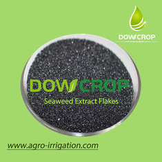 China SEAWEED EXTRACT FLAKES DOWCROP HOT SALE HIGH QUAITY Dark Brown 100% COMPLETELY WATER SOLUBLE FERTILIZER ORGANIC supplier
