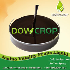 China VATALITY FRUITS@ AMINO CALMODULIN LIQUID DOWCROP HIGH QUALITY HOT SALE COMPLETELY WATER SOLUBLE FERTILIZER ORGANIC supplier