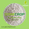 DOWCROP HIGH QUALITY 100% WATER SOLUBLE MONO SULPHATE MAGNESIUM 27% WHITE GRANULAR KIESERITE MICRO NUTRIENTS FERTILIZER supplier