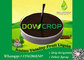DOWCROP Hot Sale VATALITY FRUITS  AMINO CALMODULIN LIQUID 100%High Quality Dark Brown Liquid Origin Amino Acid supplier