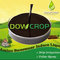 DOWCROP Hot Sale High Quality SWEETENER INDUCE  AMINO POLYPEPTIDE LIQUI100% Organic fertilizer PLANT ORIGINAL AMINO ACID supplier