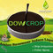 DOWCROP Hot Sale High Quality SWEETENER INDUCE  AMINO POLYPEPTIDE LIQUI100% Organic fertilizer PLANT ORIGINAL AMINO ACID supplier