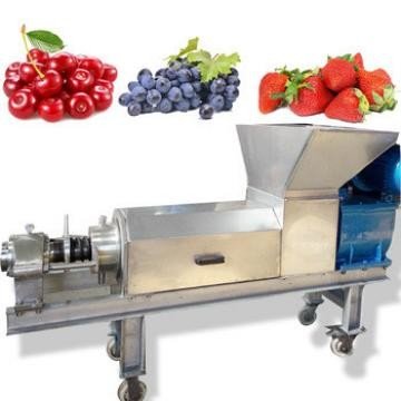 China circular Mesh fruit and vegetable pulp press machine supplier