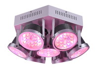 High Efficient Full Spectrum250W LED Grow Light for Medical Plants Vegwtable and Bloom Indoor Plant 3 Years Warranty
