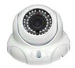 2.0 Megapixel Vandalproof Low Lux Day & Night Indoor Whelk CCTV IP Cameras DR-IP5N302FXHB