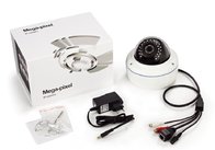 960P Low lux Anti-explosion Day & Night Indoor/Outdoor Security IP Cameras DR-IP524V