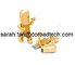 Free Sample Low Price Wholesale Real Capacity Metal Golden Robot USB Flash Drives