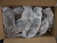 Export Tilapia Whole Round, Tilapia Gutted & Scaled