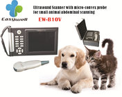 Read-time Veterinary B-ultrasound scanner EW-B10V with micro-convex probe for scanning abdomen of small animals