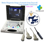 Ultrasound scanner veterinary reproductive color doppler EW-C8V with rectal probe for bovine and equine breeding