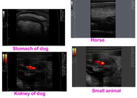 Ultrasound diagnostic system color doppler EW-C5V with Convex and Rectal probe for large animals