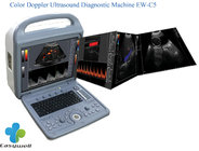 Portable Veterinary color ultrasound diagnostic EW-C5V with Convex and Linear probe for vascular and abdomen