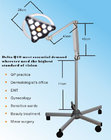 LED minor surgical lamp Q10 mobile type for veterinary examination