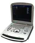 New arrival- 15 inch Laptop Veterinary Color Doppler Ultrasound Diagnostic System EW-C15V with convex amd linear probe