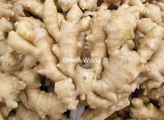 2016 China Quality High Fresh Organic Ginger from Green World Brand