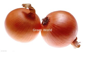 China Fresh White Onion Organic Products 2016