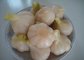 Shandong China Pure and Normal White Organic Garlic with New Crop