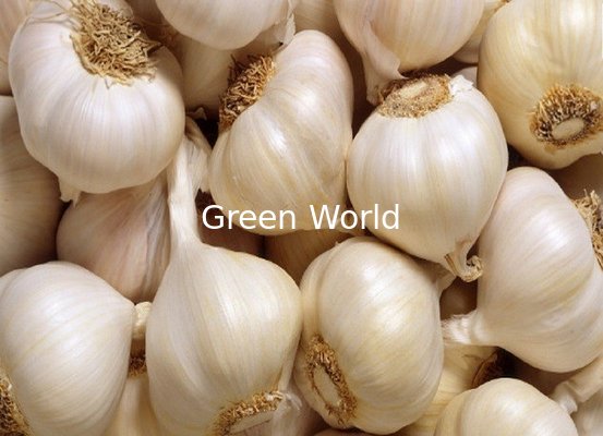 China Normal White Color Garlic with New Crop, Organic Garlic