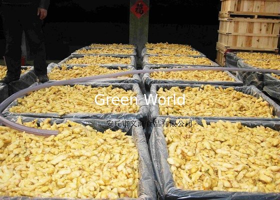 2016 China Fresh Organic Yellow Color Ginger New Harvest Ginger