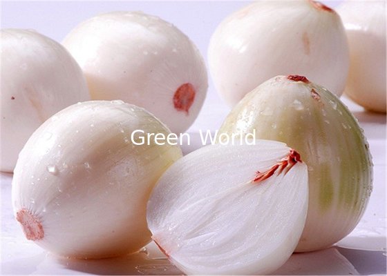 New Crop China Fresh Red/White/Yellow Onion For Export Fresh Organic Onion