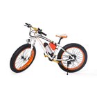 High Speed 26 Inch Tires 2 Wheel Electric Bike Outdoor Off Road Dirt Electric Snowmobile Bikes